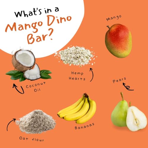 Organic Fruit Bars for Kids