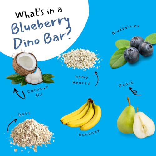 Organic Fruit Bars for Kids