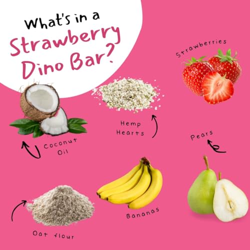 Organic Fruit Bars for Kids