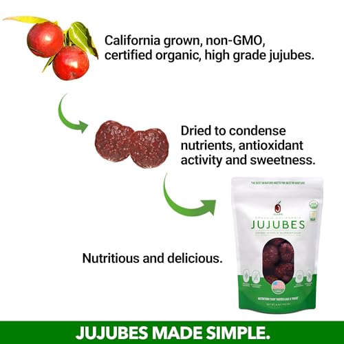 Organic Jujube Superfood Snacks
