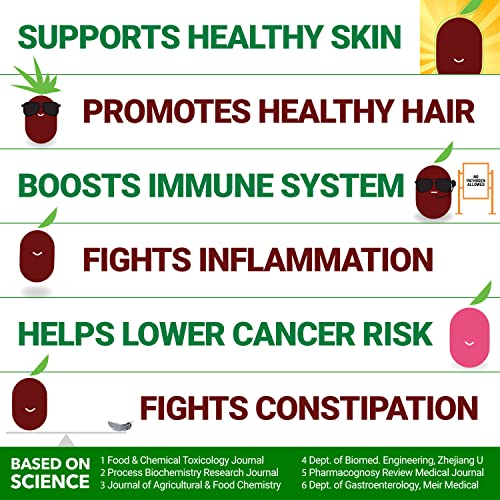 Organic Jujube Superfood Snacks