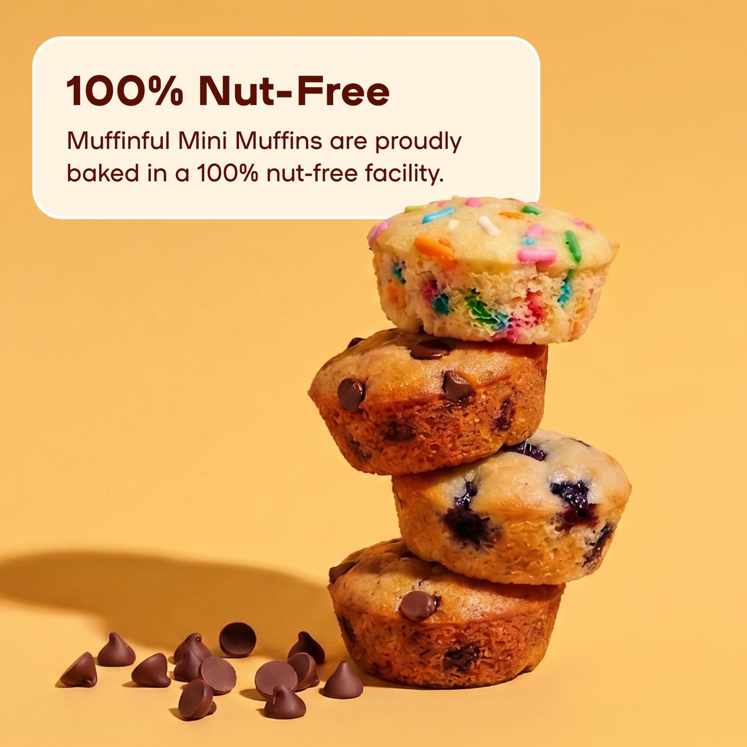 Mini Muffins Variety Pack 60-Pack