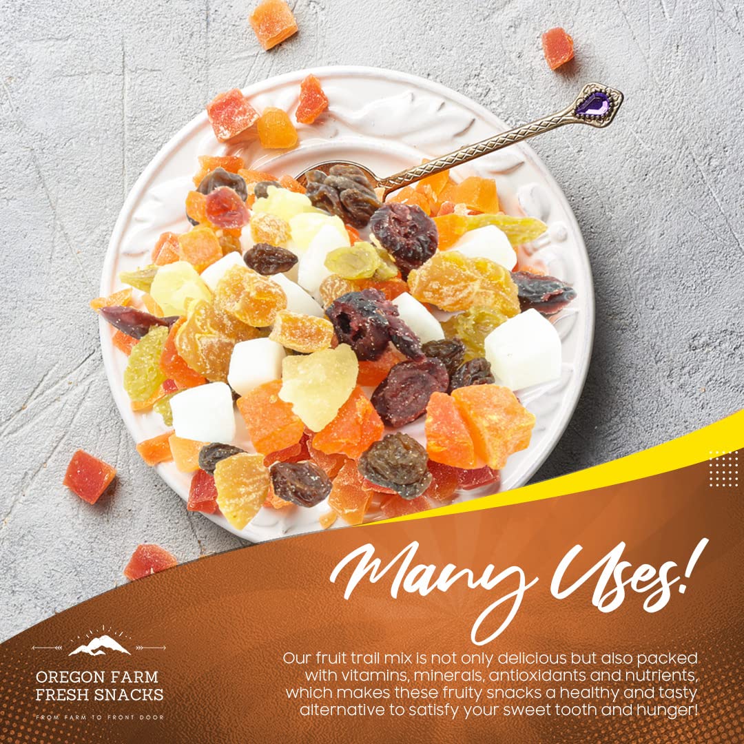 Dried Fruit Snack Mix 24 oz