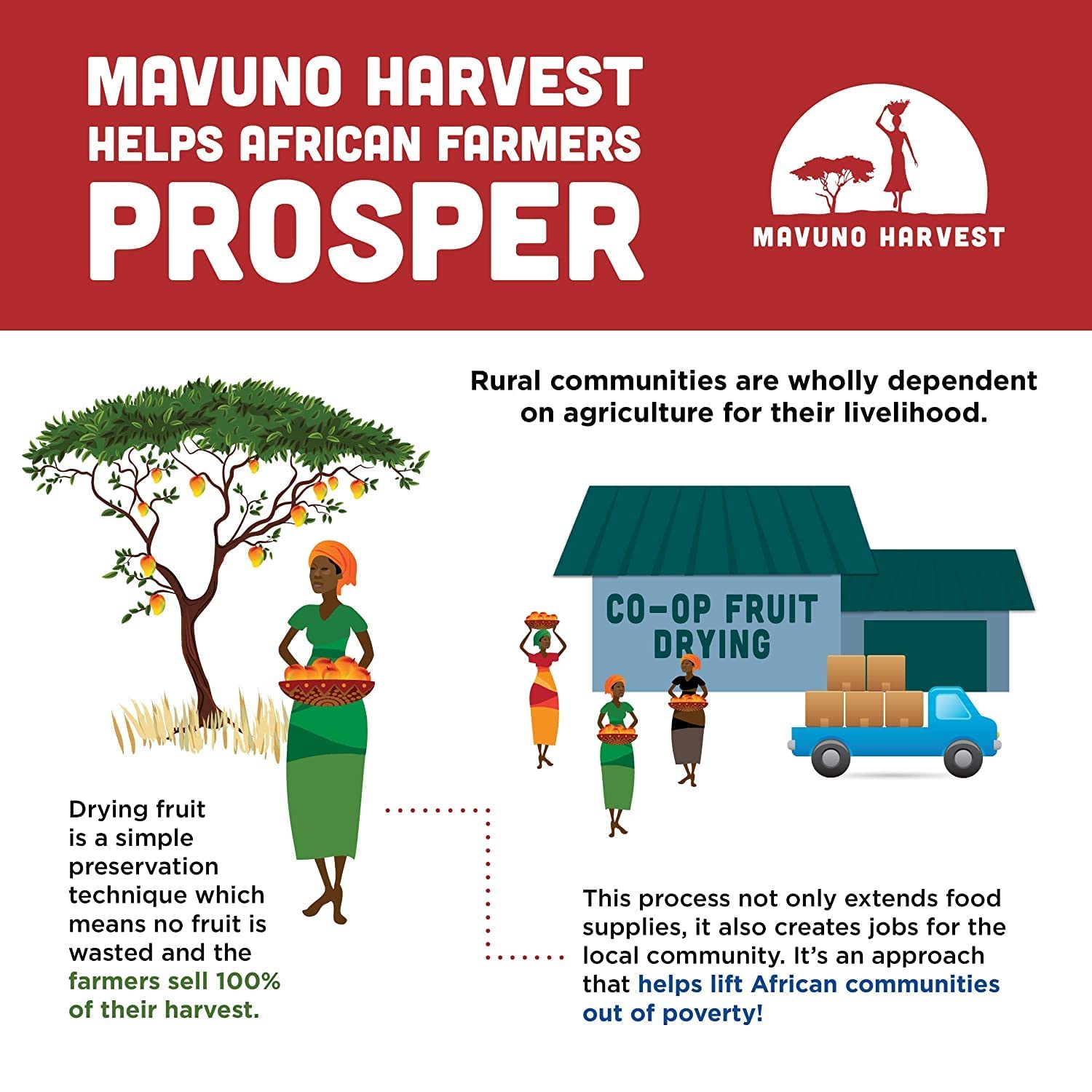 Mavuno Harvest Direct Trade Organic Dried Fruit