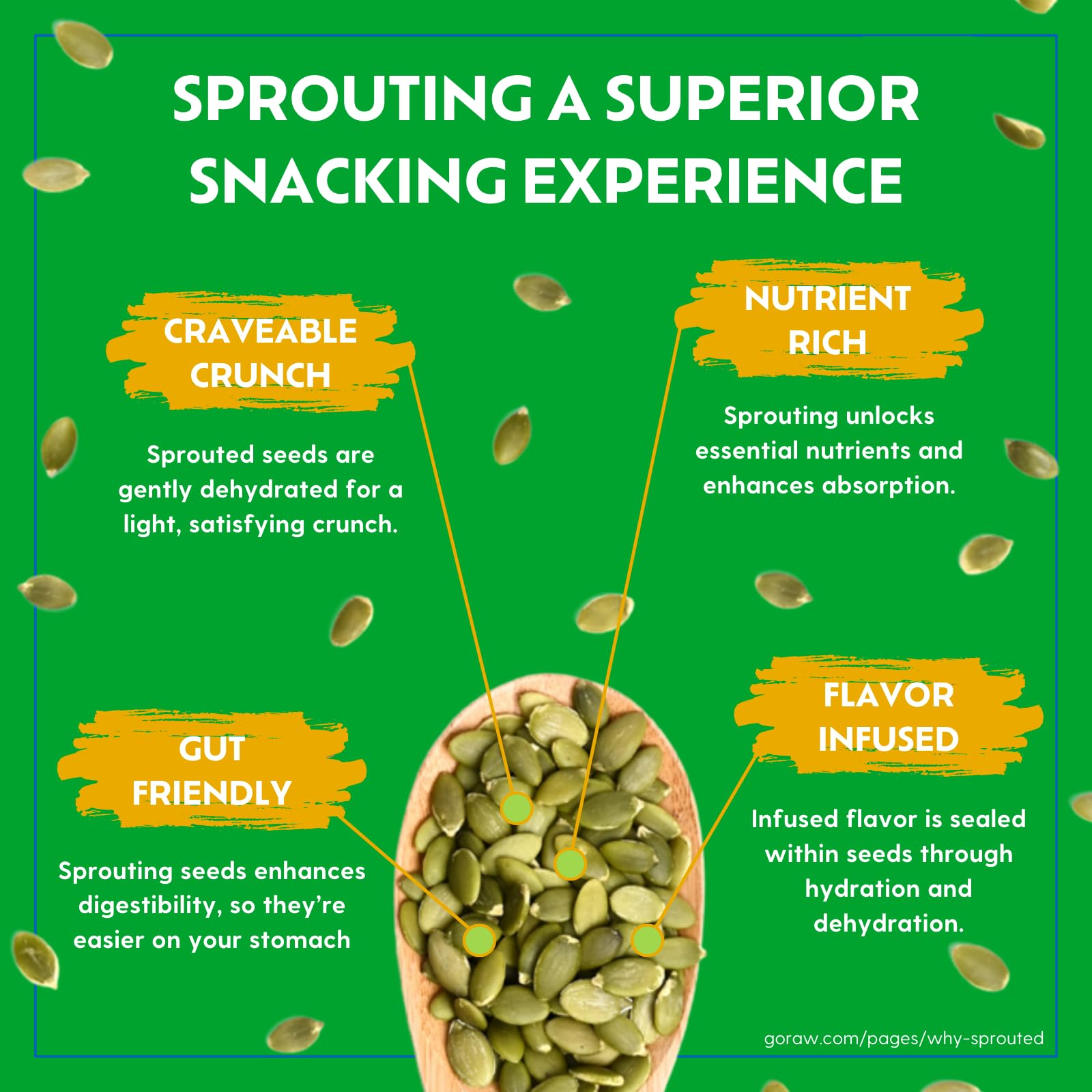 Go Raw Family Sized Pumpkin Seeds
