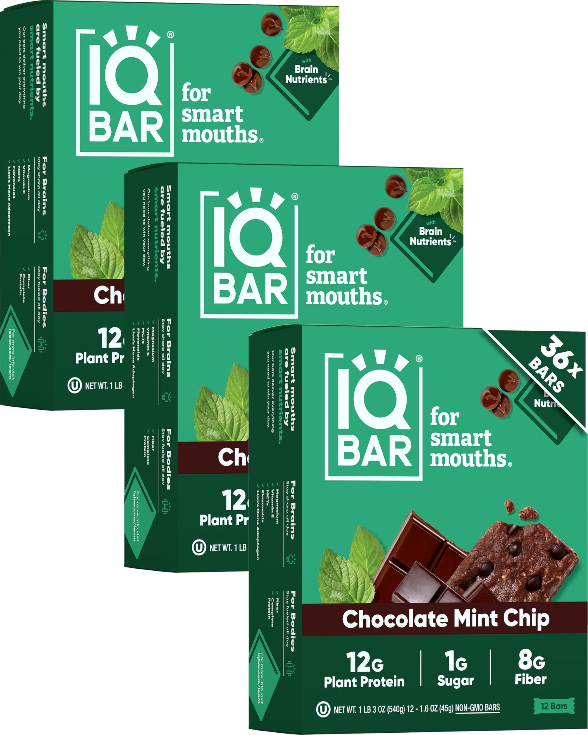 Plant Protein Bars for Focus & Energy