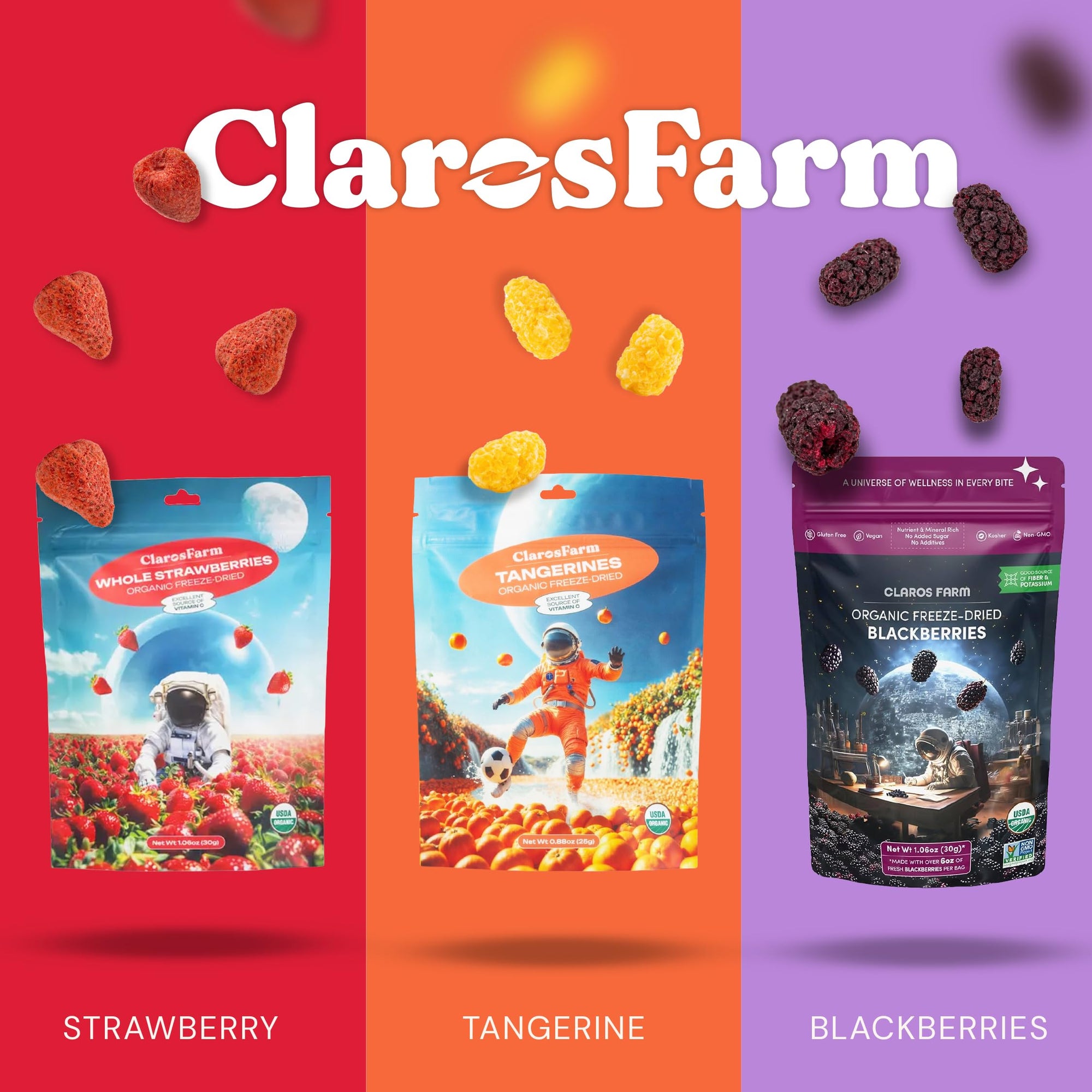 Freeze-Dried Fruit Snacks Bulk Pack