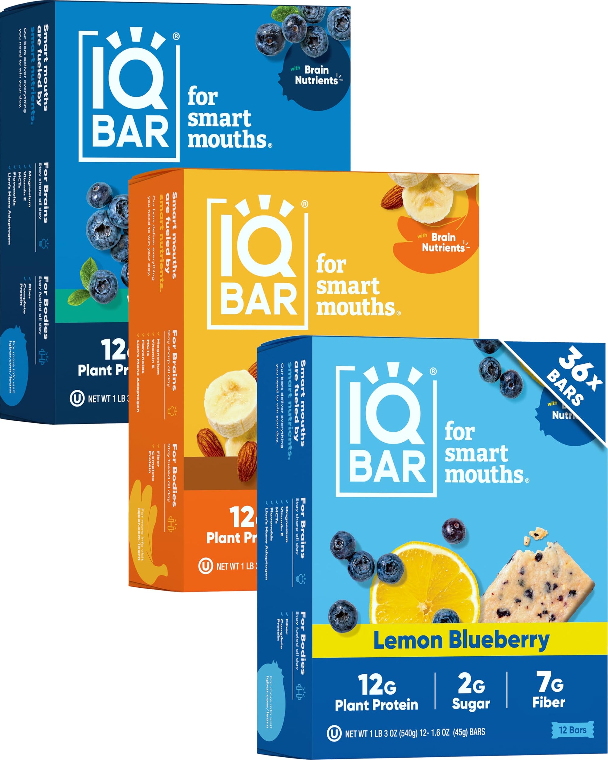 Plant Protein Bars for Focus & Energy