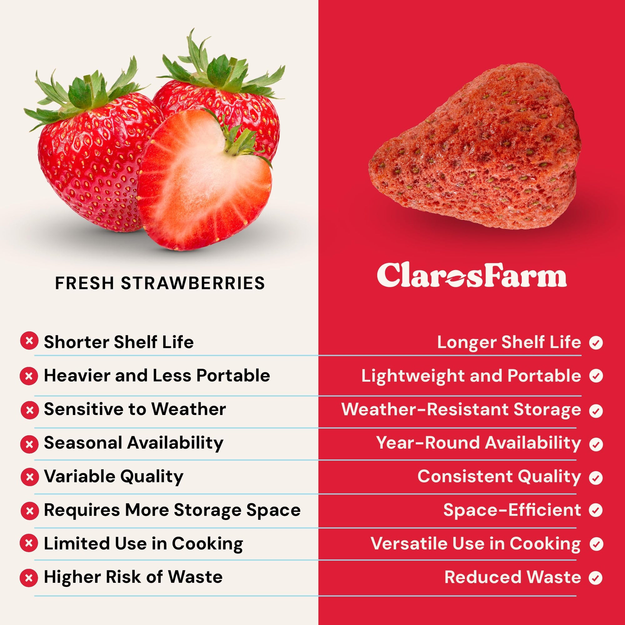Freeze-Dried Fruit Snacks Bulk Pack