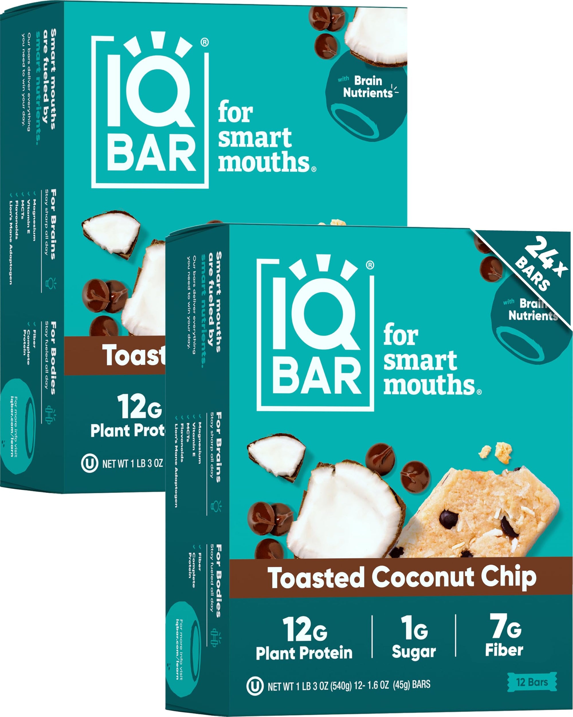 Plant Protein Bars for Focus & Energy