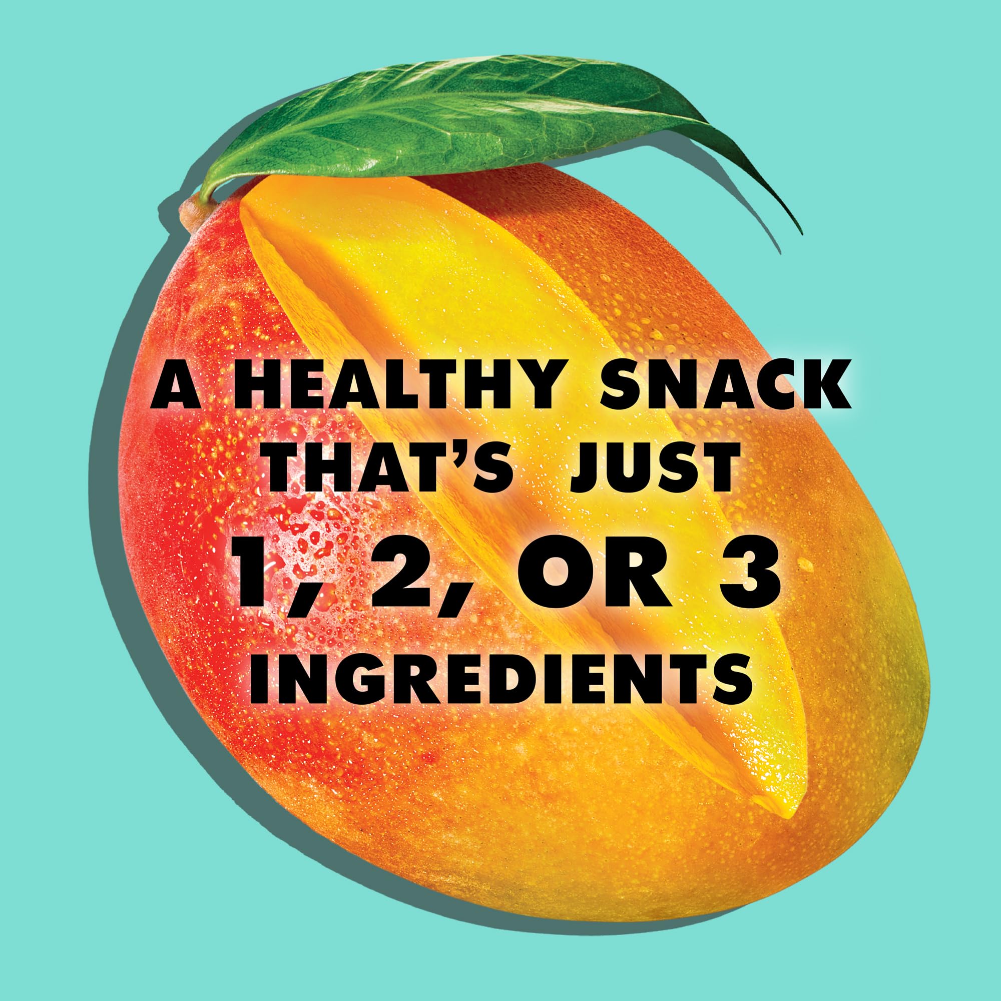 Organic Fruit Jerky