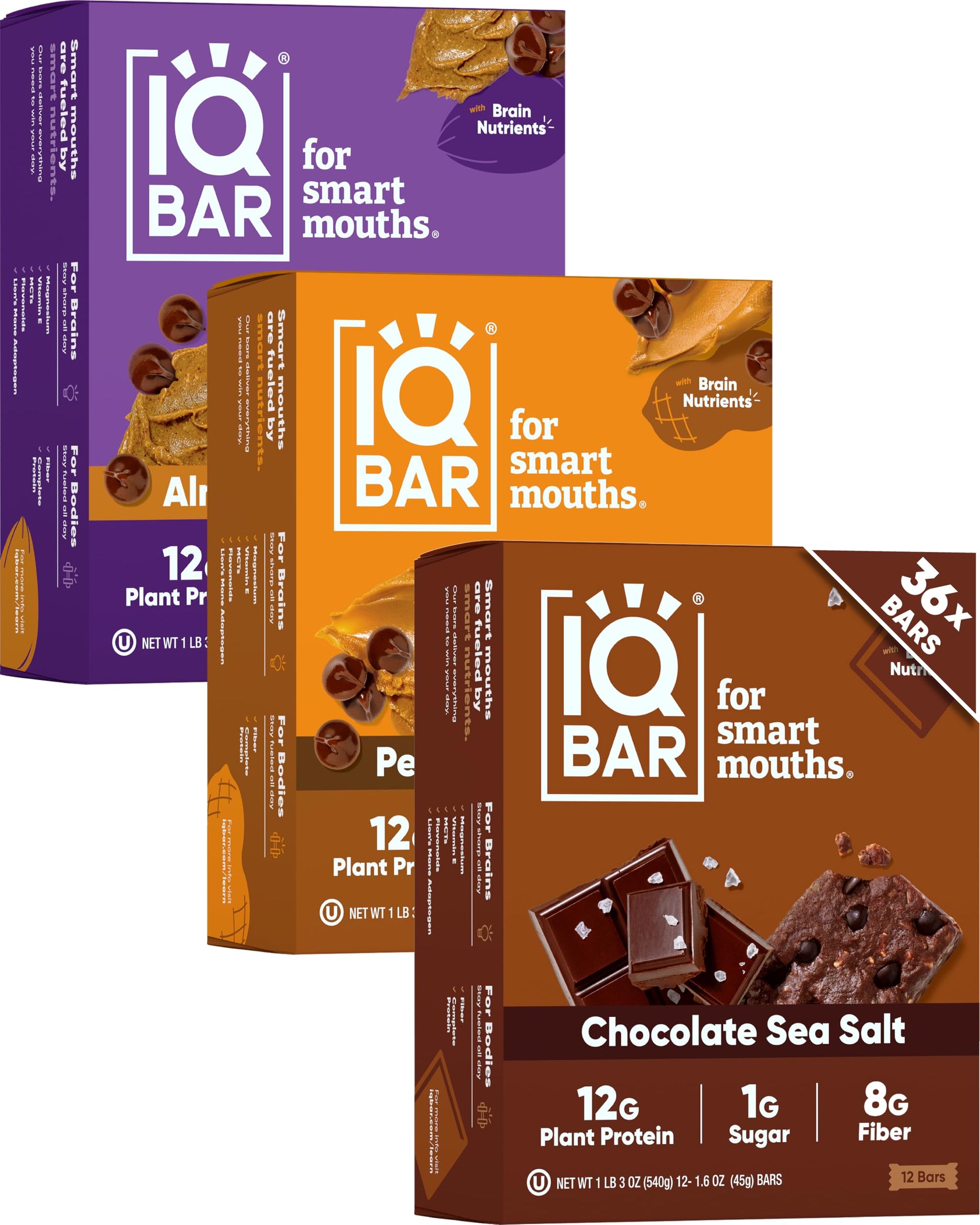 Plant Protein Bars for Focus & Energy