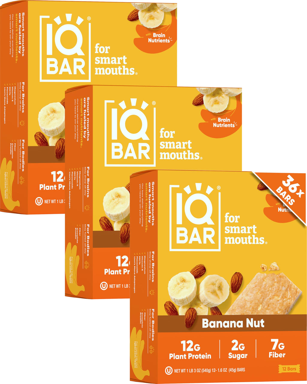 Plant Protein Bars for Focus & Energy