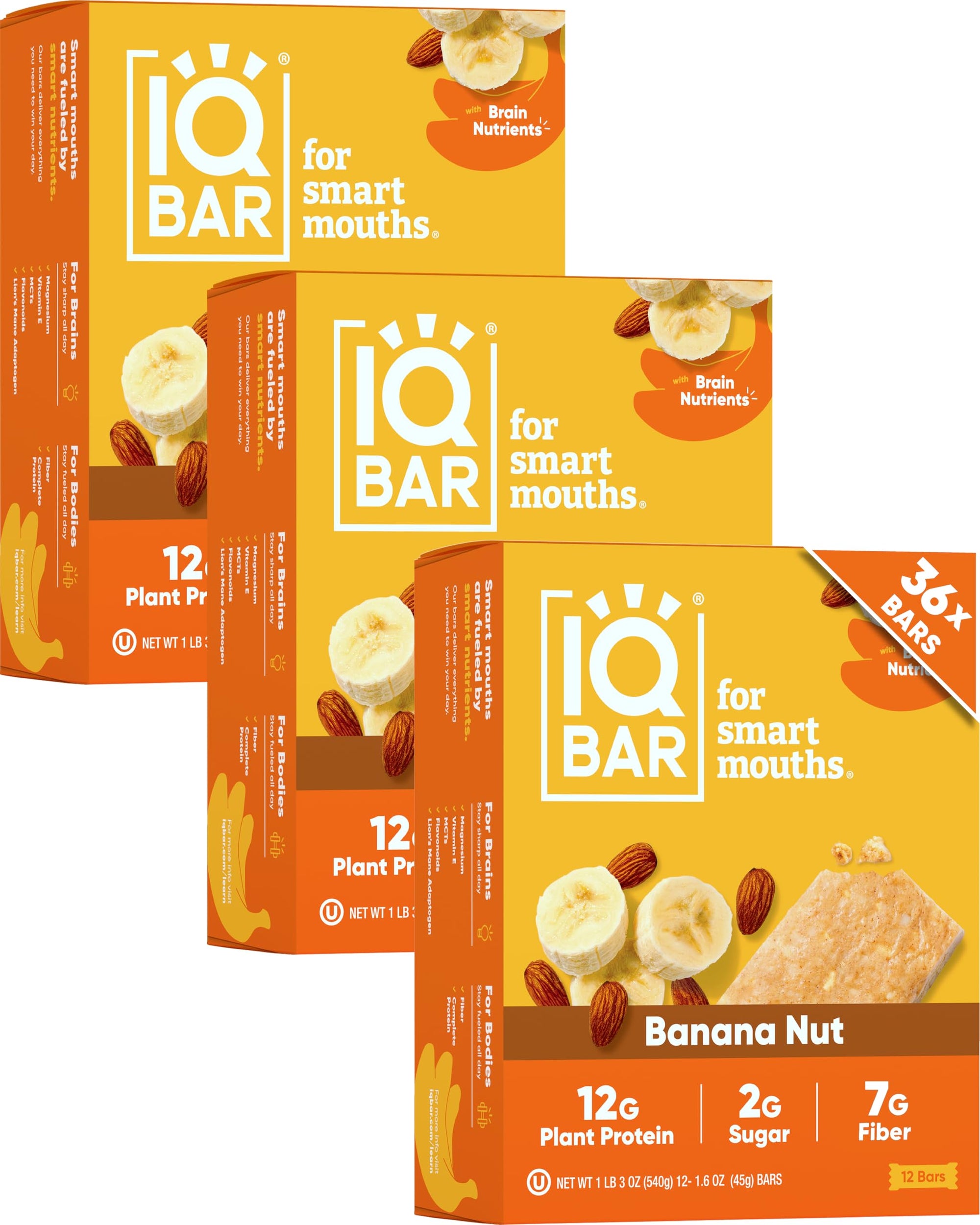 Plant Protein Bars for Focus & Energy