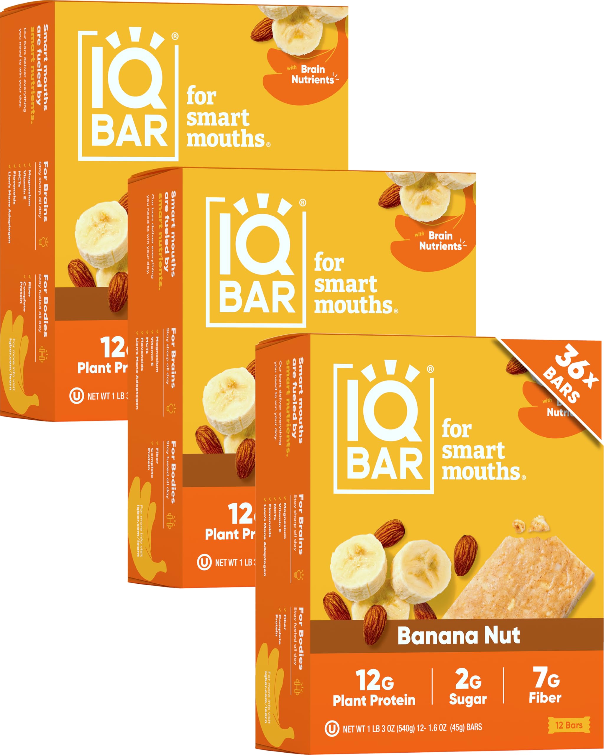 Plant Protein Bars for Focus & Energy