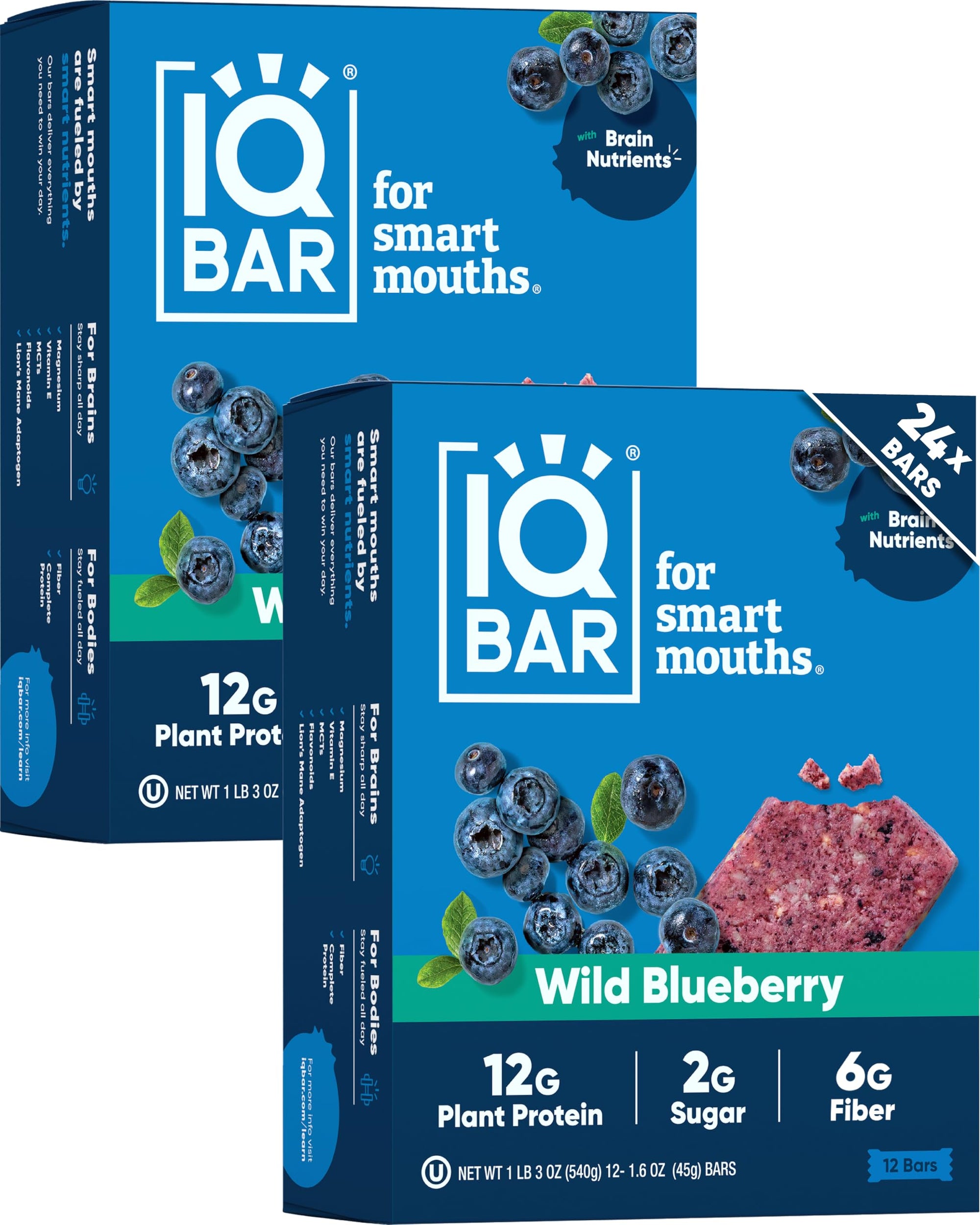 Plant Protein Bars for Focus & Energy