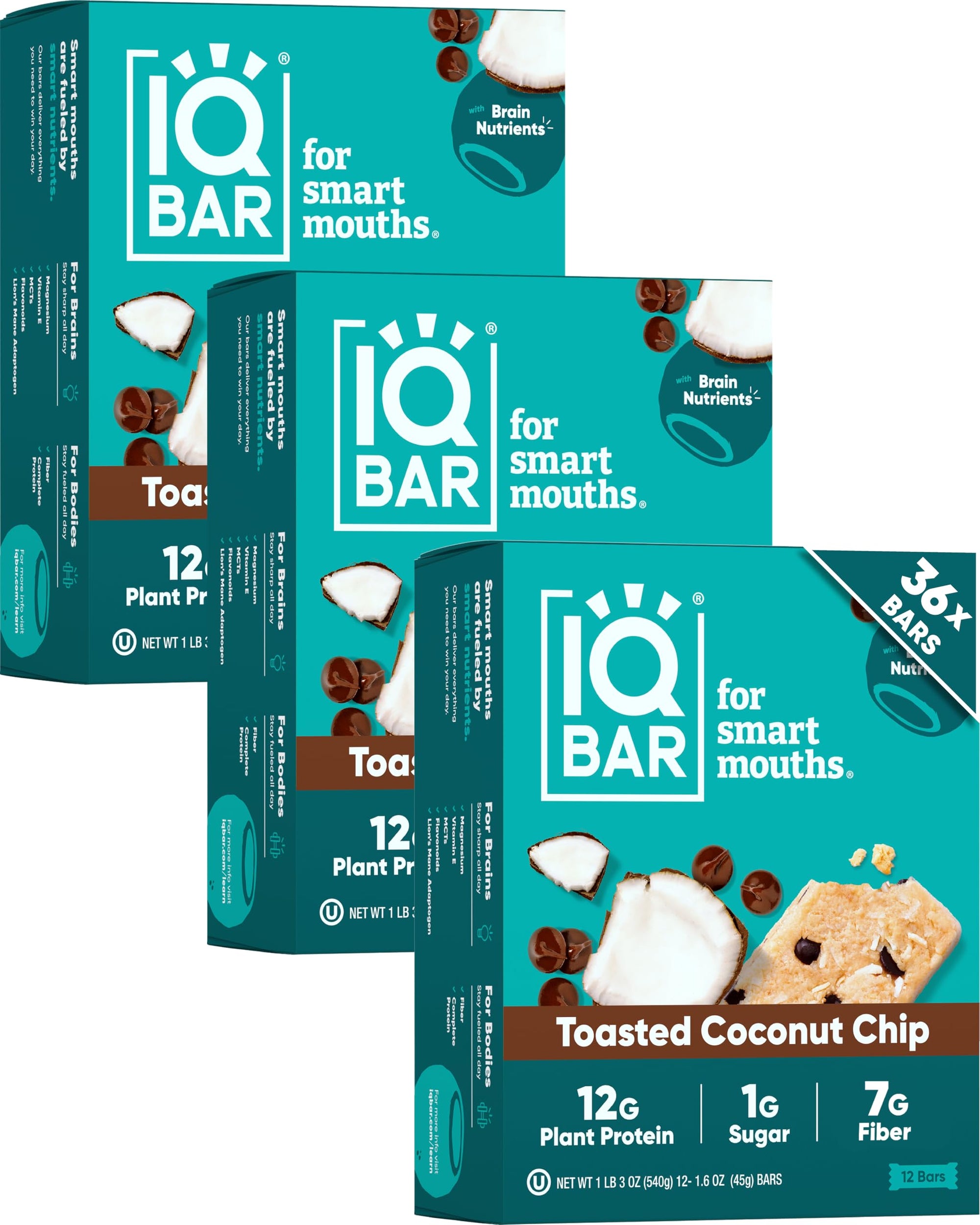 Plant Protein Bars for Focus & Energy