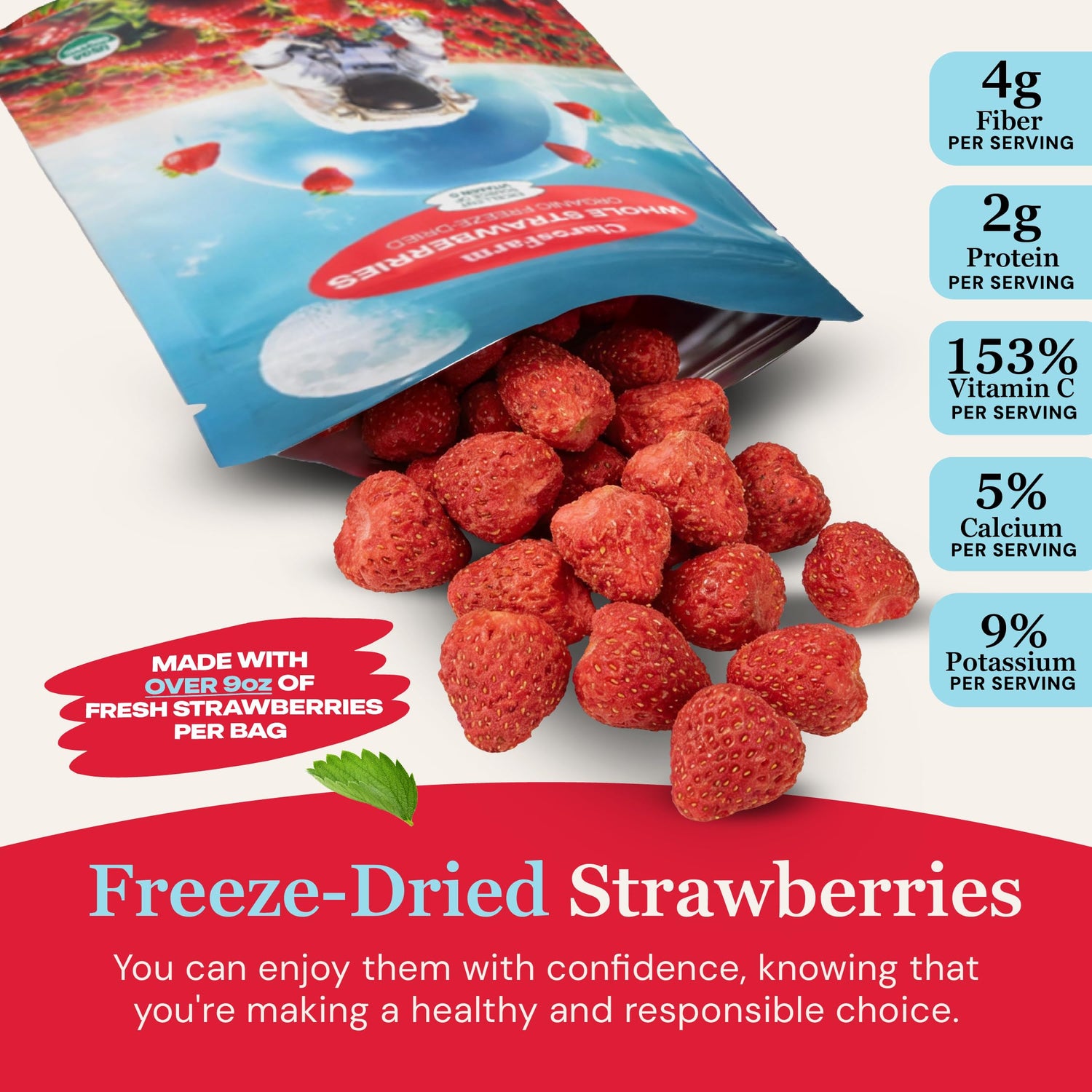 Freeze-Dried Fruit Snacks Bulk Pack