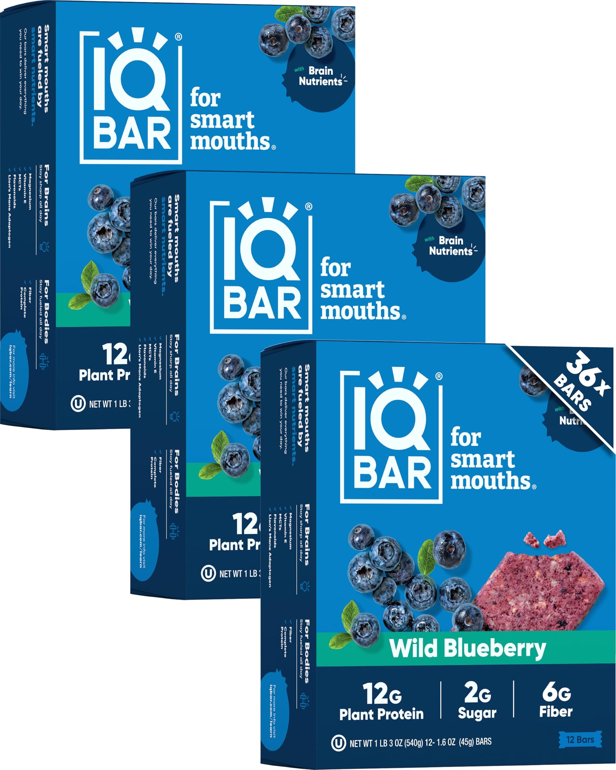 Plant Protein Bars for Focus & Energy
